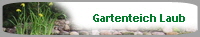 Gartenteich Laub