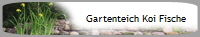 Gartenteich Koi Fische