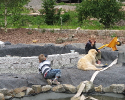 Pause am Gartenteich