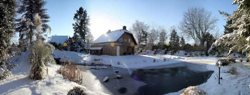 Teichbau Teich im Winter
